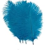 Shekyeon ターコイズ 10-12インチ 25-30cm オーストリッチフェザー ホーム装飾 DIY クラフト 10個パック