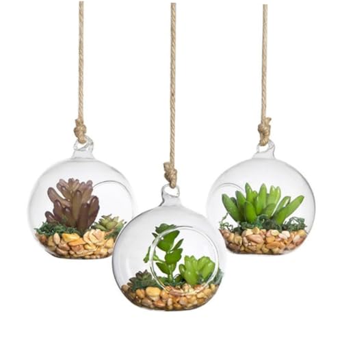 UKCOCO 4pezzi Vaso Di Vetro Trasparente Sfera Da Appendere Sfere Di Vetro Sospese Vaso Per Terrario Terrario Per Piante Sospeso Contenitore Base Piatta