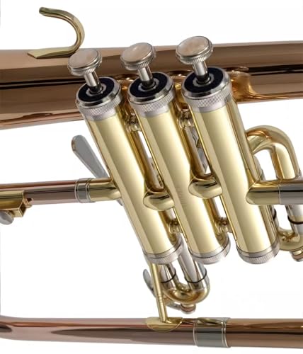 Woodbrass WFH400 – Bugle Si – Windinstrument für Anfänger, fertig zum Spielen, Trigger 3. Schieber, rosa Kupfer-Pavillon, Rucksack & Mundstück inklusive