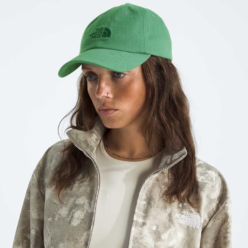Image of THE NORTH FACE Norm Hat