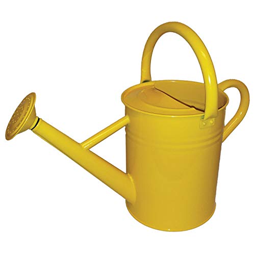 1 Gallon Watering Can Yellow