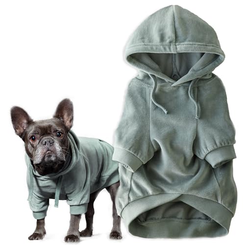 Pet Passion Cooper II Organic Cotton Velour Dog Hoodie Pet Coat for Small Medium and Large Dogs Sage Medium (20-45 lbs)