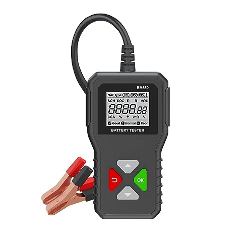 Ԃ̃obe[eX^[ 6V 12V 24V 100  2000 CCA obe[AiCU[ 12 {gobe[c[obe[VXeo g₷