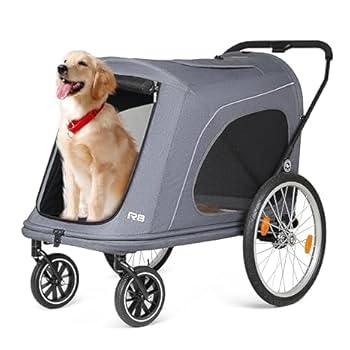 beberoad R5 ペットカート グレー Amazon.co.jp: Beberoad R5 中型ペットカート 分離型 折りたたみ