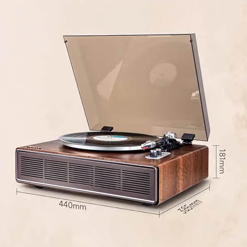 DLITIME レコードプレーヤー HIFI-V20 の商品画像 3