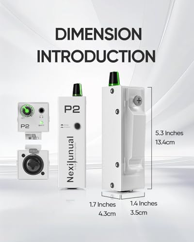 P2 Personal Headphone Amp