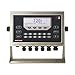 Rice Lake 115447, 720i Programmable Weight Indicator and Controller