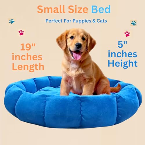 Image of Round Donut Pet Bed for Cats and Puppies Dogs mat, Cozy and Plush, Raised Bedside Support, Both Sides Use Like 2 in One, Washable, Dog Bed, Sizes for Small, Medium, and Large Pets