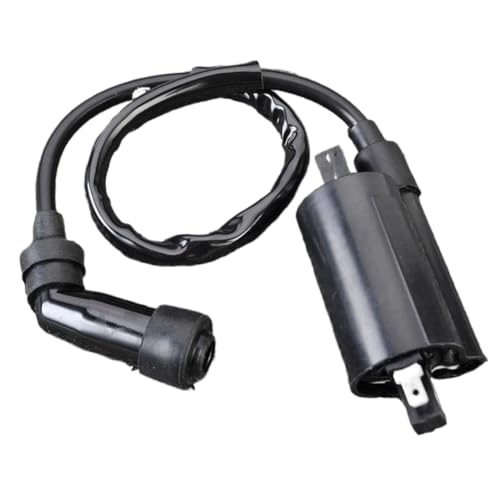 Bobina de encendido de motocicleta para solucionar tirones en Suzuki AN250