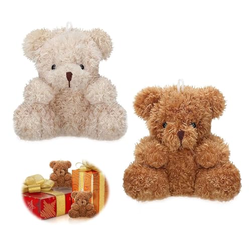 Muorruo 2 Piezas Mini-Oso, Peluche, pequeño Oso, Juguete de Animales para Baby Showers, Regalos de Fiesta, pequeñas muñecas Suaves, Regalos de graduación, Llavero, Colgante de Bolsa
