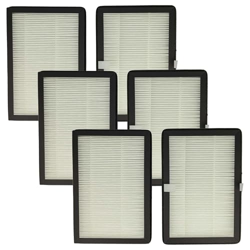 vhbw 6x filtro de partículas compatible con Rowenta Eclipse QU5030, QU5060, QU5062 purificador, ventilador