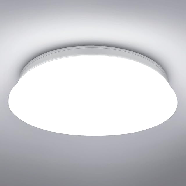 Lepro Ceiling Light, 24W LED, 2500lm, 5000K Daylight White, φ30cm Round, Flush Ceiling Light for Kitchen, Hallway, Office, Porch and More