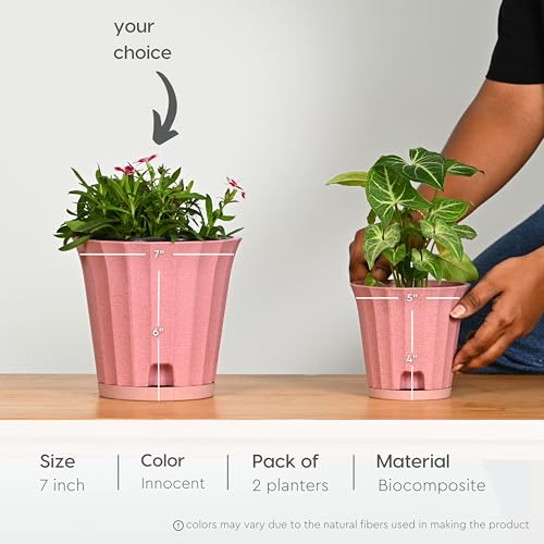 Image of Eha Earth Friendly Ace 7 inch Small Self Watering Pots for Indoor Plants | Set of 2 | Plant Pot Made with Bamboo Fibers | Table Top Planters for Home Decor, Flower Pot for Living Room | Innocent