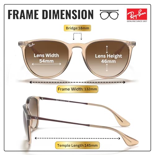 Image of Ray-Ban RB4171 ERIKA COLOR MIX Phantos Shaped Sunglasses for Women with Official RAYBAN Eyewear Kit
