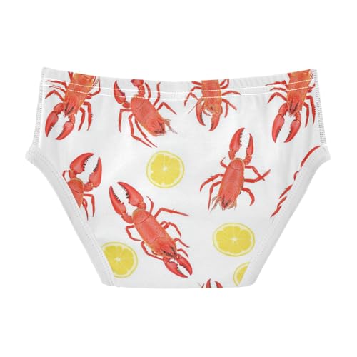 Wusikd Lobsters Boys' Underwear Cotton Lemon Boys Briefs Soft Toddler Underwear 2T2