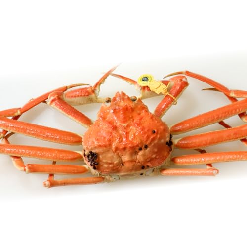 [先行予約]選べる!美味しさ直送[成前特選]越前がに [K-028048] ((400-500g)4杯, 12月姿)