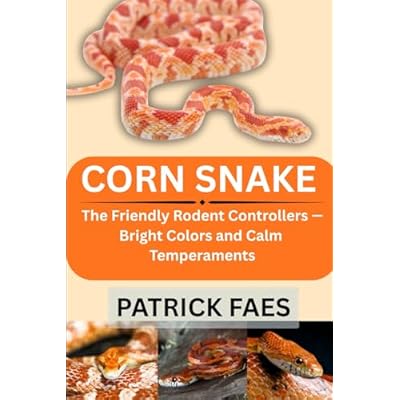 CORN SNAKE