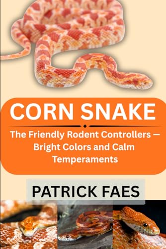 CORN SNAKE: The Friendly Rodent Controllers — Bright Colors and
