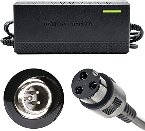 Caricatore da 12 V per scooter elettrico Razor Power Core E90