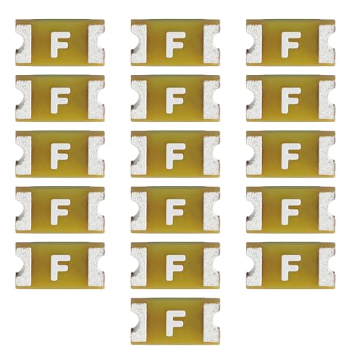 Briny River Lot de 16 fusibles F1 F2 compatibles avec Nintendo GBA SP DS Lite New 3DS 2DS DSI XL LL Compatible avec PSP