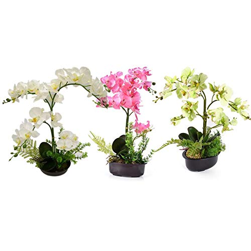 Fleurs de simulation phalaenopsis en pot avec mini bonsaï créatif artisanal - 7