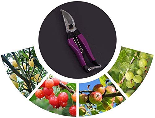 Tijeras de podar para jardín mango antideslizante miniatura 7