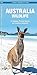 Australia Wildlife: A Folding Pocket Guide to Familiar Animals (Wildlife and Nature Identification)
