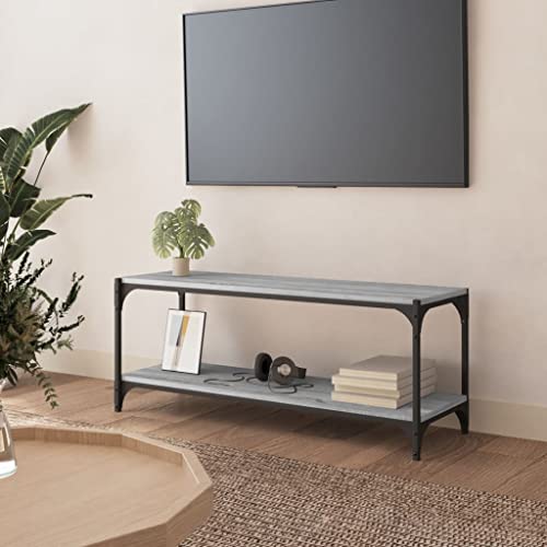 Mimdixy Mueble para TV, color gris, 100 x 33 x 41 cm, madera y acero, para salón, comedor, dormitorio