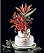 Alan Dunn's Tropical & Exotic Flowers for Cakes (IMM Lifestyle Books)