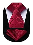 HISDERN Herren Krawatte Taschentuch Check Krawatte & Einstecktuch Set (Weinrot)