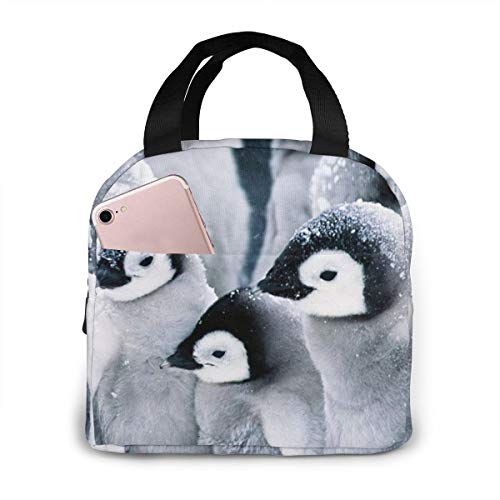 antspuent A Group of Penguins Lunch Bag for Women Girls Kids Insulated Picnic Pouch Thermal Cooler Tote Bento Large Meal Prep Cute Bag Big Leakproof Soft Bags for Lunch Box, Camping, Travel, Fishing