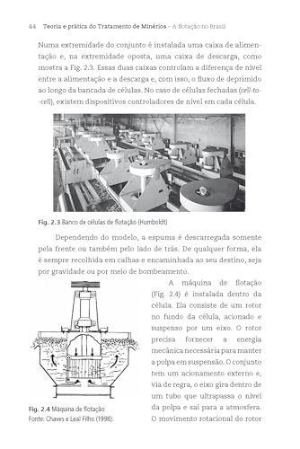 Teoria e prática do tratamento de minérios 4 - A flotação no Brasil