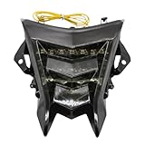 iTobest LED Tail Light - Integrated LED Tail Brake Turn Signal Light Compatible with BMW HP4 S1000R 2014-2018 S1000RR 2009-2018(Smoke)