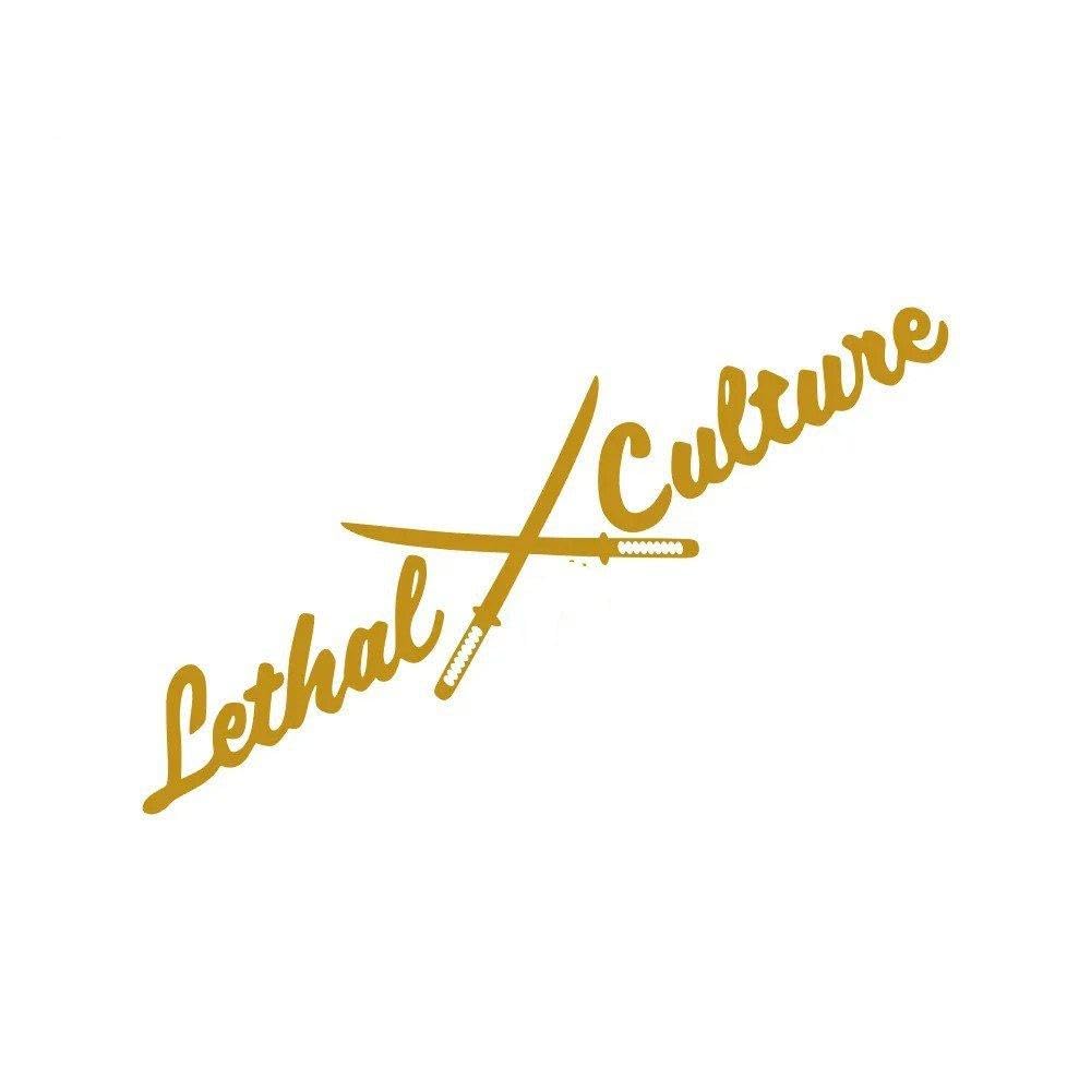 Windshield Sticker Auto Window Side Body Decoration Vinyl Decor Decal(Matt Gold,50x11cm)