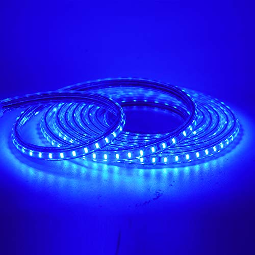 HEGEHE SMD 3014 LED Strip Light with Switch Power Cord, 220V Waterproof Kitchen Cabinet Ceiling Home Garden Deck Rope Light Blue (2 Meters)