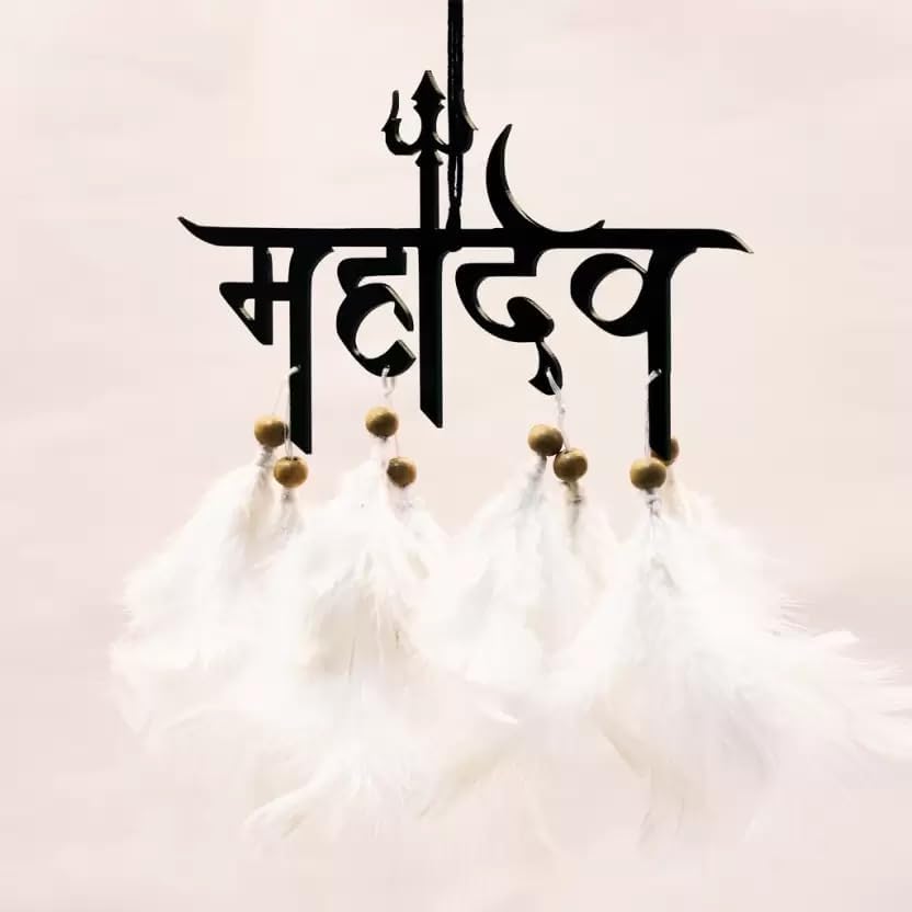 Jiyu Creation Dream Catcher car Hanging of Mahadev with White Feather Theme/Origional Feather/Car Hanging Decor/Pack of 1 (Mahadev Text)