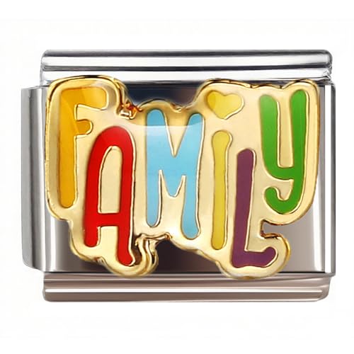 9mm Charm for Italian Charm Bracelet, Stainless Steel DIY Jewelry Chain Links,Family - Main Image