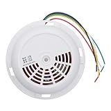 Marhynchus Rilevatore di Gas Naturale Montato a Soffitto con Allarme Luminoso e Sonoro e Avviso di Rete per la Sicurezza Domestica 12-28 V