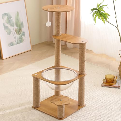 Lbg^[ L^[ ^ u RpNg ȃXy[X R܂Ƃ  Vv 킢 36cm L ܂Ƃ|[ ܌  J[1 W] FD