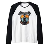 ritratto divertente della testa di cane di staffordshire bull terrier maglia con maniche raglan