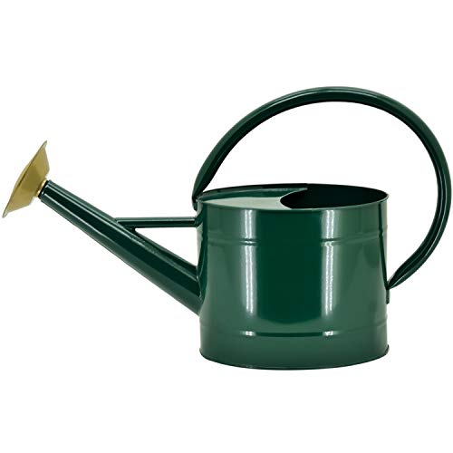 HORTICAN 1.3 Gallon Galvanized Watering Can Modern Style Watering Pot with Handle and Rosehead for Outdoor and Indoor House Plants - Thumbnail 7