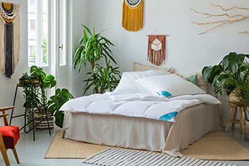 Sandaro Home Kopfkissen 80x80 Daunen-Federnkissen 2er Set, 80 x 80 cm 3 Kammern (1600gramm),100% Naturprodukt in reinem Baumwollbezug, Ultra Comfort Sleeping Pillow - Image 6