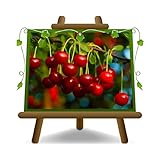 EURO PLANTS VIVAI