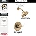 Delta Nicoli 14 Series H2Okinetic Shower Faucet Set, Brushed Gold Shower Head and Handle Set, Valve Trim Kit, Champagne Bronze 142749-CZ (Shower Valve Included)