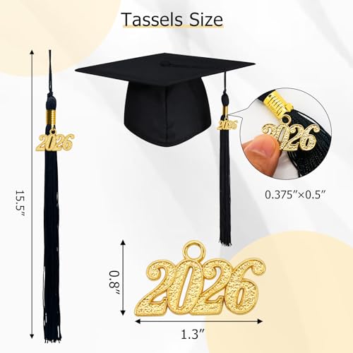 Image of GraduationMall Single&Multiple Color Graduation Tassel with 2026 Year Charm 9 inch
