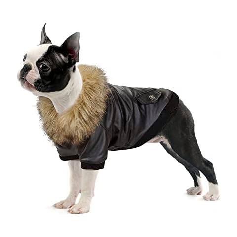 Namsan Black Waterproof Dog Winter Coat Cover