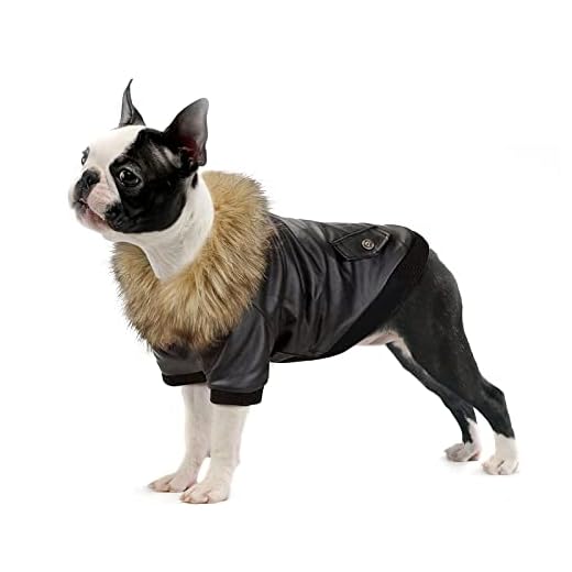NAMSAN Veste en Cuir pour Animaux de Compagnie Imperméable Hiver Vêtements pour Chiens Manteau d'automne d'hiver Chaud pour Petits Chiens Moyens-Noir