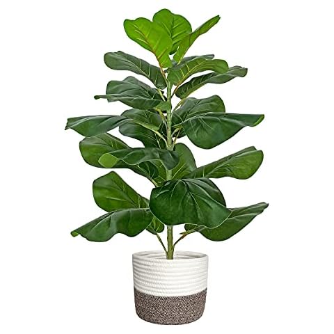 BESAMENATURE Artificial Fiddle Leaf Fig Tree/Faux Ficus Lyrata for Home Office Decoration, 30.5" Tall, with Cotton Rope Basket Cover