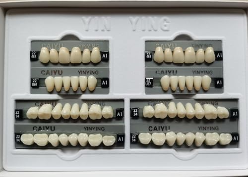 SDent® 2 Boxes 3 Layers Super Hard Synthetic Resin Teeth Multi-Layer Acrylic Composite False Teeth Denture Polymer Polymerial Materials 2 Mouths/Box & Full Set & A3 & 56PCS