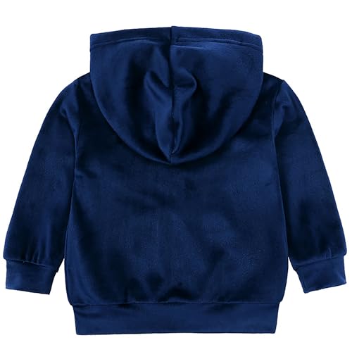 Toddler Girls Boy Clothes Set Fleece Hooded Outfits Casual Sweatsuits Kids Jogger Tracksuits 6M-12Y3